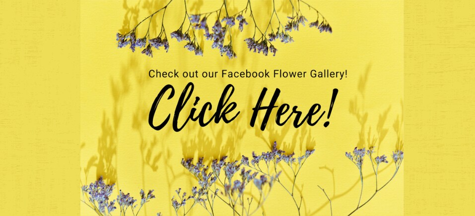 Flower Delivery to Rhoadesville by Unionville Florist